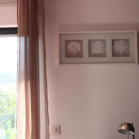 Apartment De Louise Proche Aeroport Lucciana (Corsica)